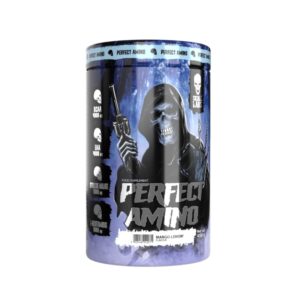 Skull Labs Perfect Amino - 450 g